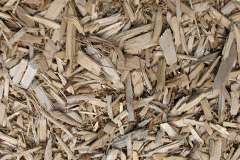 biomass boilers Totteroak