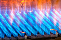 Totteroak gas fired boilers